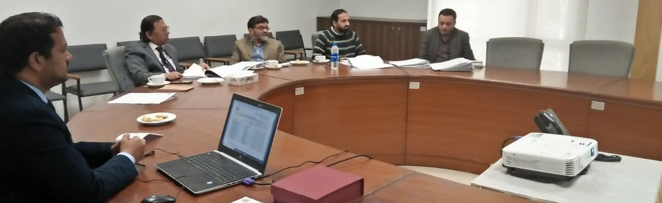MS Management External Review